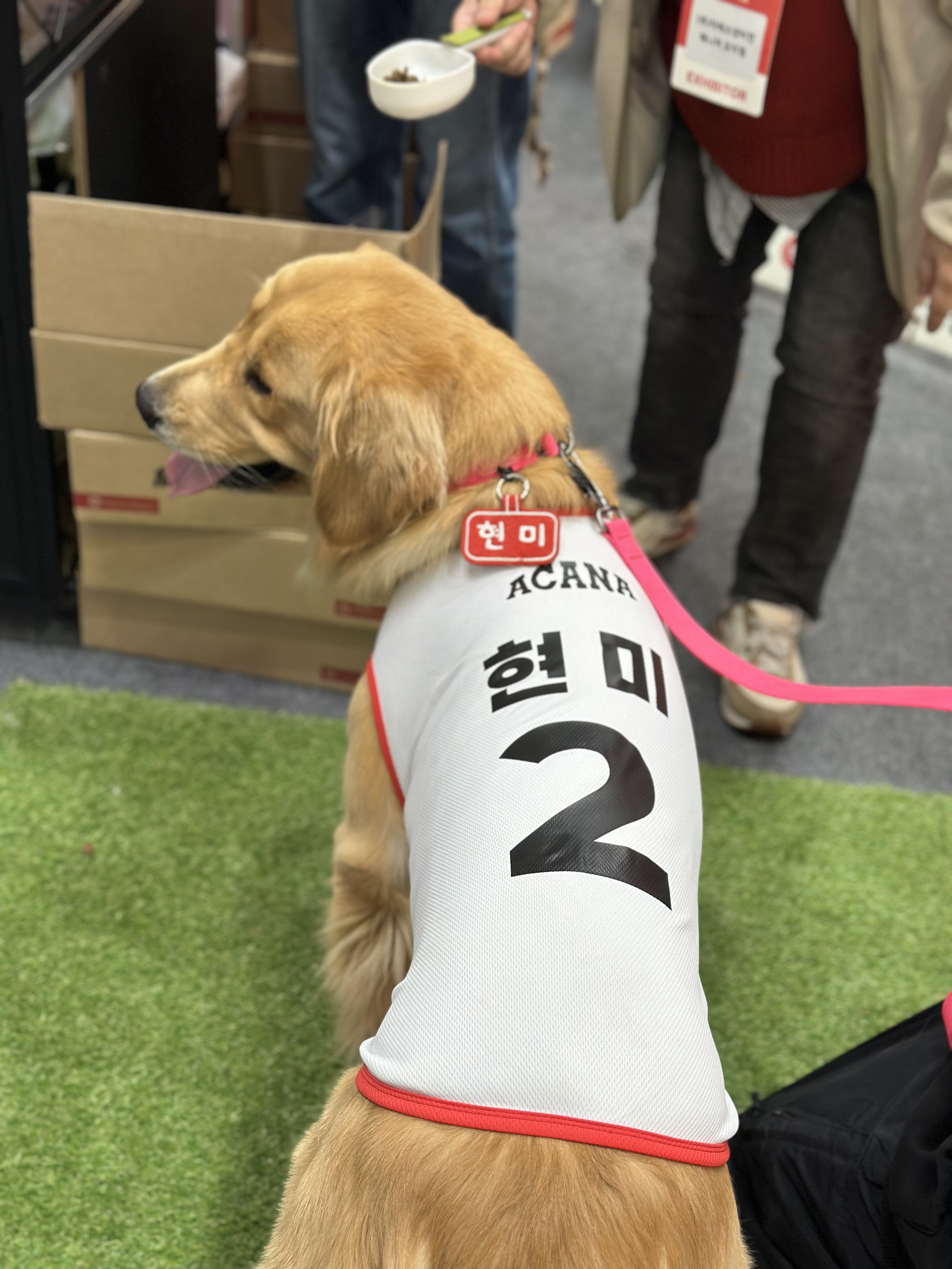 펫페어 행사장에서 현미가 브랜드 유니폼을 입은 장면